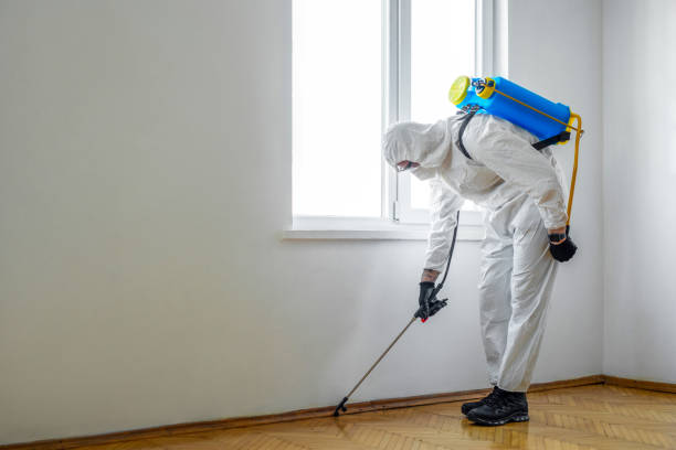 Best Pest Inspection Near Me  in Union City, OK